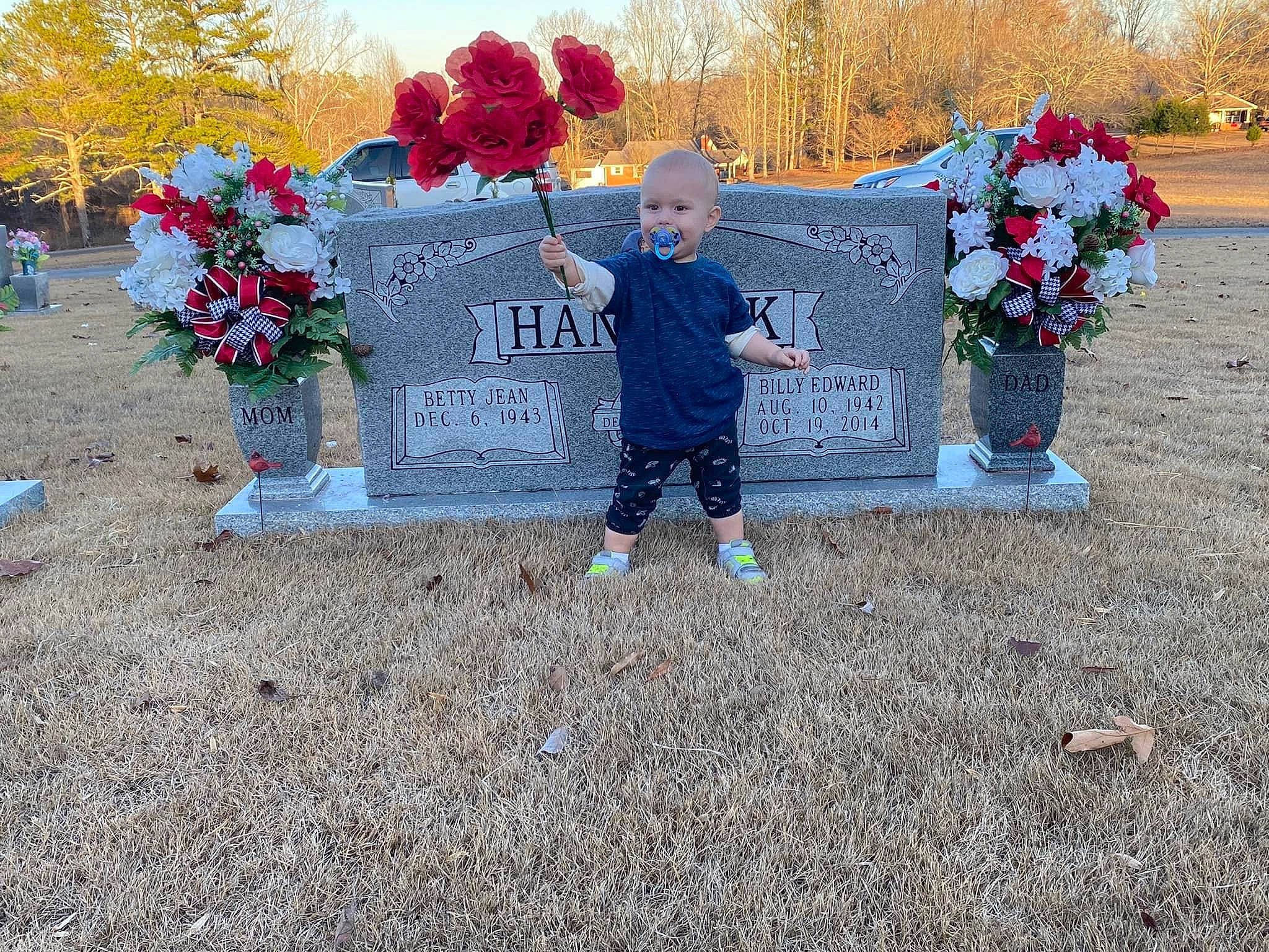 Karsyn is registered to the contest to win money with this photo: annual_plant, balloon, cemetery, event, flower, flower_arranging, font, grass, grave, groundcover, headstone, memorial, person, plant, rose, sky, soil, toddler, tree, woody_plant