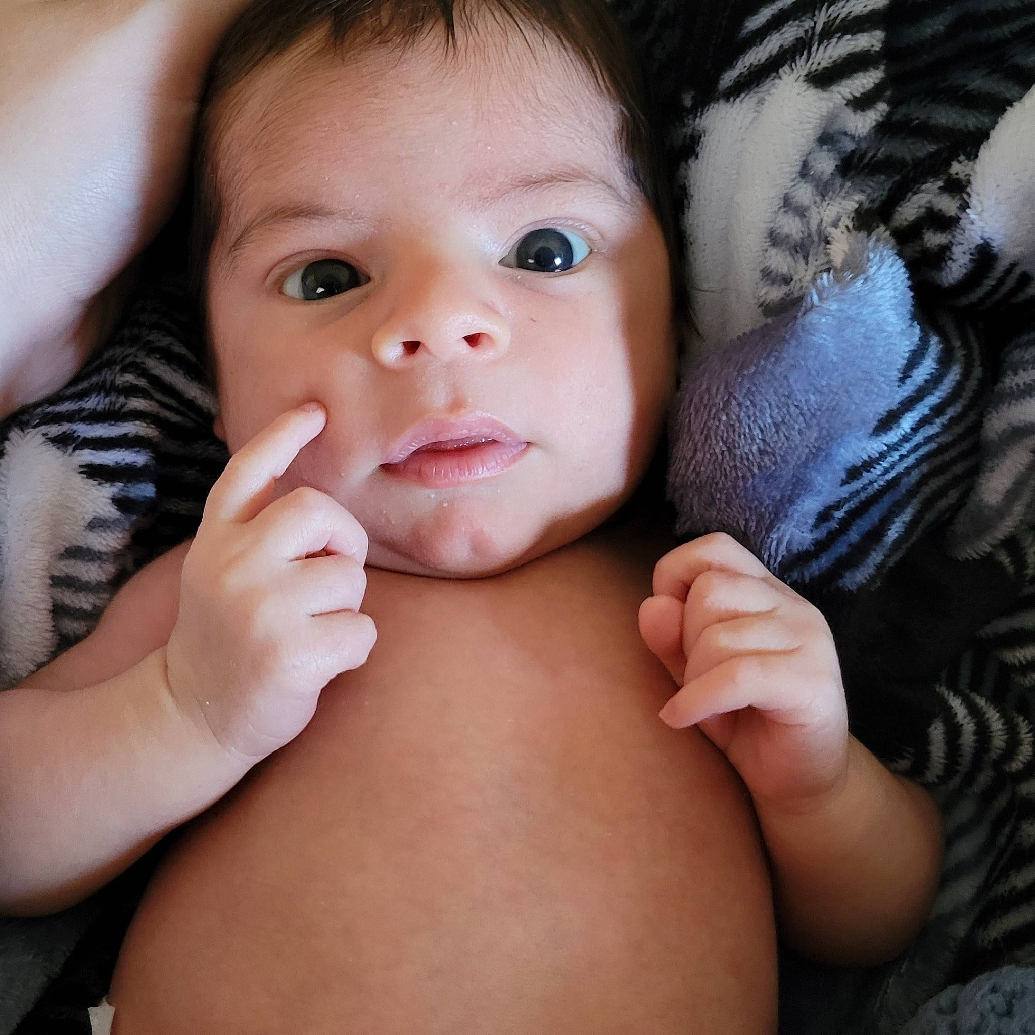 Luis joined the competition — help win amazing prizes! baby, black_hair, cheek, ear, eye, eyelash, finger, gesture, happy, human_body, iris, lip, mouth, nail, neck, nose, person, skin, stomach, thumb