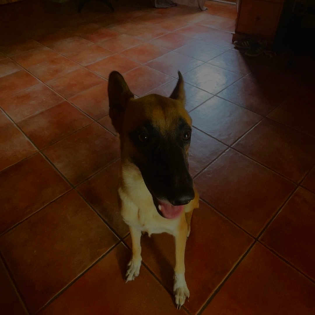 Moka