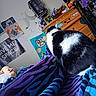 Ink joined the competition — help win amazing prizes! cat, black_and_white, blanket, bedroom, poster, toy, dresser, furniture, colorful, indoor, wall_art, plush_toy, hanging, decor, animal, pet, cozy, feline, sleeping_area, resting