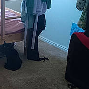 Dude is registered to the contest to win money with this photo: animal, bed, bedroom, black_cat, carpet, cat, clothing, cozy, floor, furniture, glowing_eyes, home, indoor, low_light, mysterious, pet, pink_bedding, quiet, sitting, wooden_bed_frame