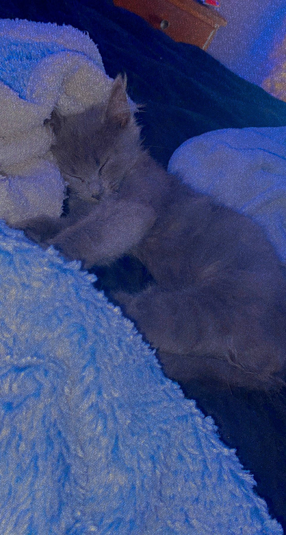 Winston Churchhill is registered to the contest to win money with this photo: azure, blue, electric_blue, freezing, fur, glacial_landform, glacier, hill, ice_cap, landscape, massif, mountain_range, natural_landscape, ocean, rock, shadow, slope, wind, wind_wave, winter