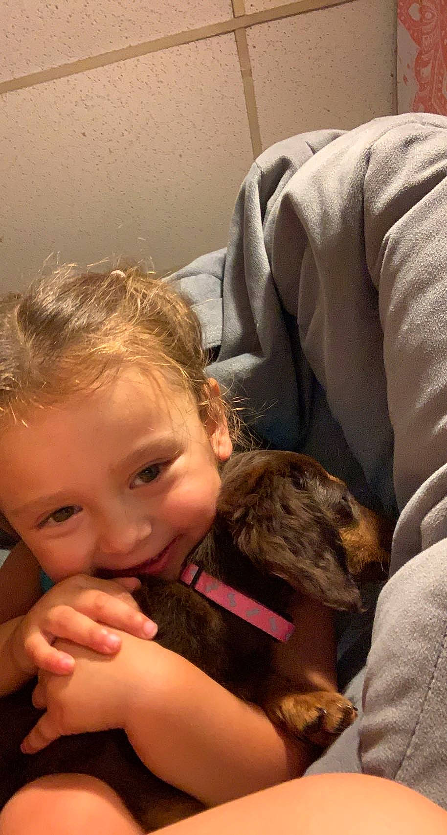 Juliet is registered to the contest to win money with this photo: carnivore, child, comfort, companion_dog, dog, dog_breed, ear, fur, gesture, happy, joy, lap, liver, paw, person, sitting, skin, smile, sporting_group, thumb