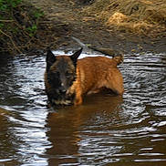 Aie Peur a rejoint le concours — aidez-le/la à gagner de superbes lots !