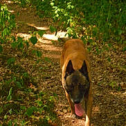 Aie-Peur participe au concours pour gagner de l'argent avec cette photo :