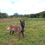 Oresse participe au concours pour gagner de l'argent avec cette photo :