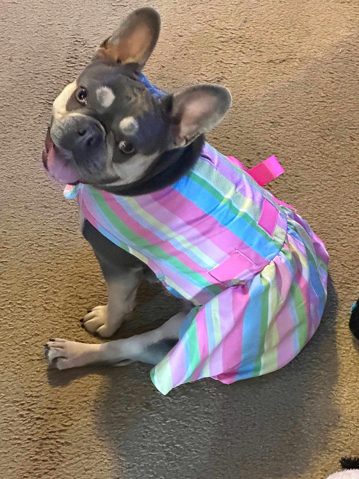 Bella