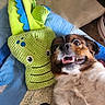 dog, plush_toy, quilt, knitted, green, blue, brown, white, face, smiling, pet, cute, indoor, fabric, toy, lying_down, closeup, happy, cozy, playful