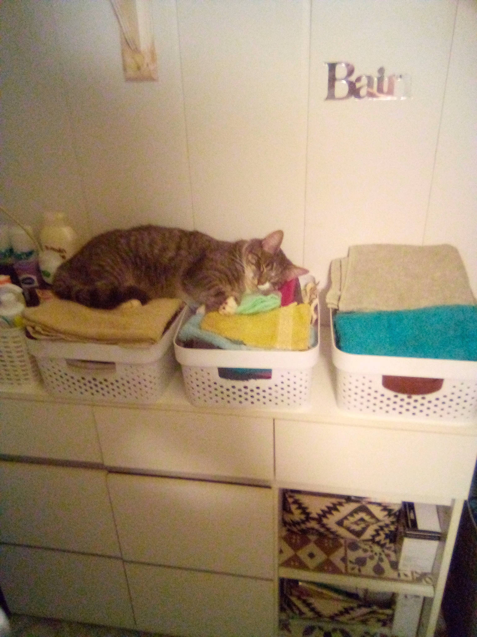 Lennon participe au concours pour gagner de l'argent avec cette photo : carnivore, cat, cat_supply, comfort, domestic_short_haired_cat, drawer, felidae, floor, flooring, fur, hardwood, home, interior_design, pet_supply, room, shelving, small_to_medium_sized_cats, tail, whiskers, wood