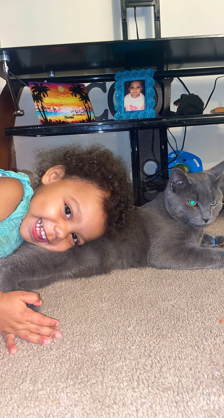 Myla is registered to the contest to win money with this photo: audio_equipment, carnivore, cat, child, domestic_short_haired_cat, felidae, flooring, fun, fur, happy, home_appliance, iris, joy, major_appliance, mammal, person, room, small_to_medium_sized_cats, smile, television