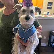 Lady is registered to the contest to win money with this photo: banner, birthday, casual_clothing, celebration, chair, costume, decorations, dog, floor, furniture, holding, home, indoor, kitchen, party_hat, pet, portrait, table, white_fur, woman