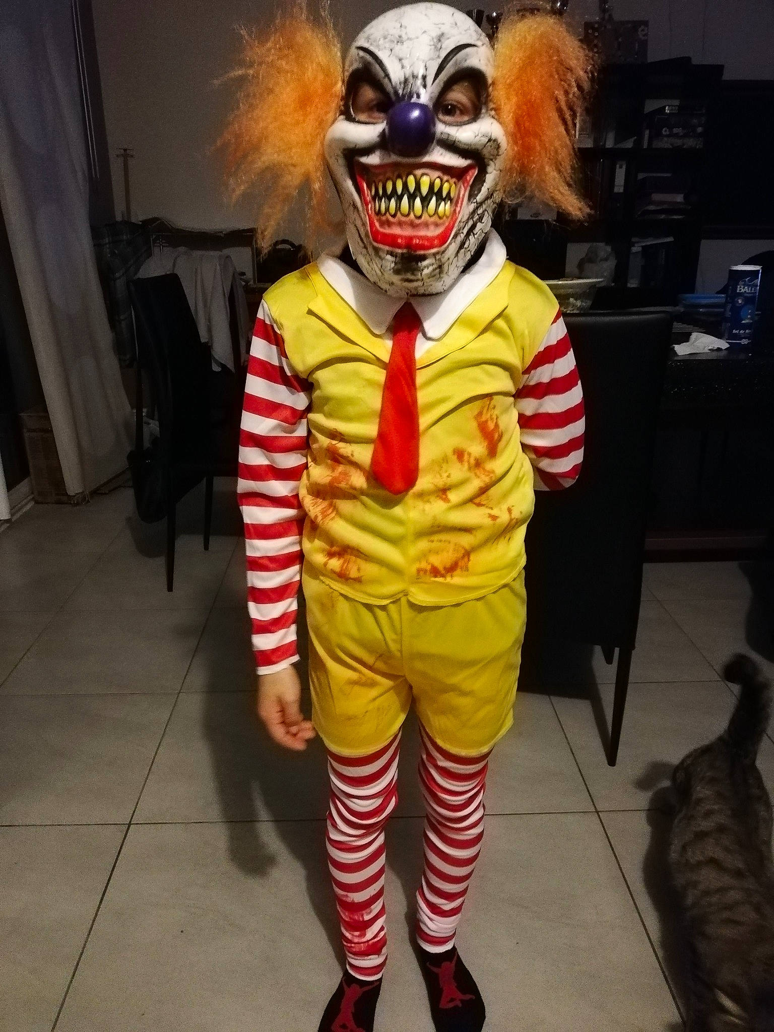 Joey a rejoint le concours — aidez-le/la à gagner de superbes lots ! cool, costume, costume_design, curtain, entertainment, event, eyewear, fashion_design, fictional_character, fun, fur, hat, headgear, humour, mask, performing_arts, personal_protective_equipment, sleeve, t_shirt, theatrical_property