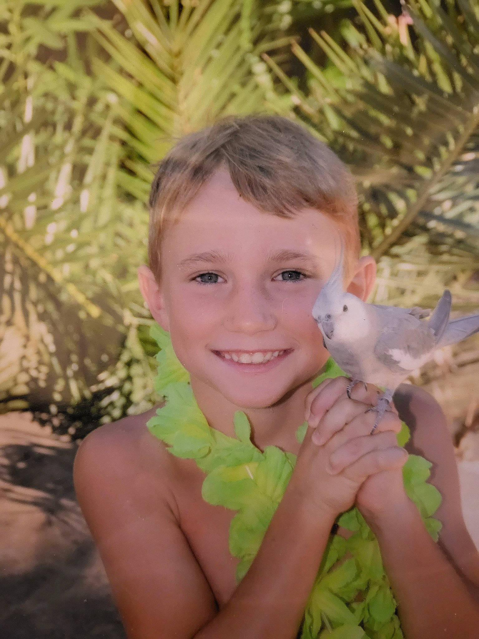 Joey a rejoint le concours — aidez-le/la à gagner de superbes lots ! botany, child, event, eye, fawn, finger, fun, gesture, grass, hand, happy, head, iris, joy, leisure, people_in_nature, person, plant, smile, thumb