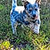 Roxy