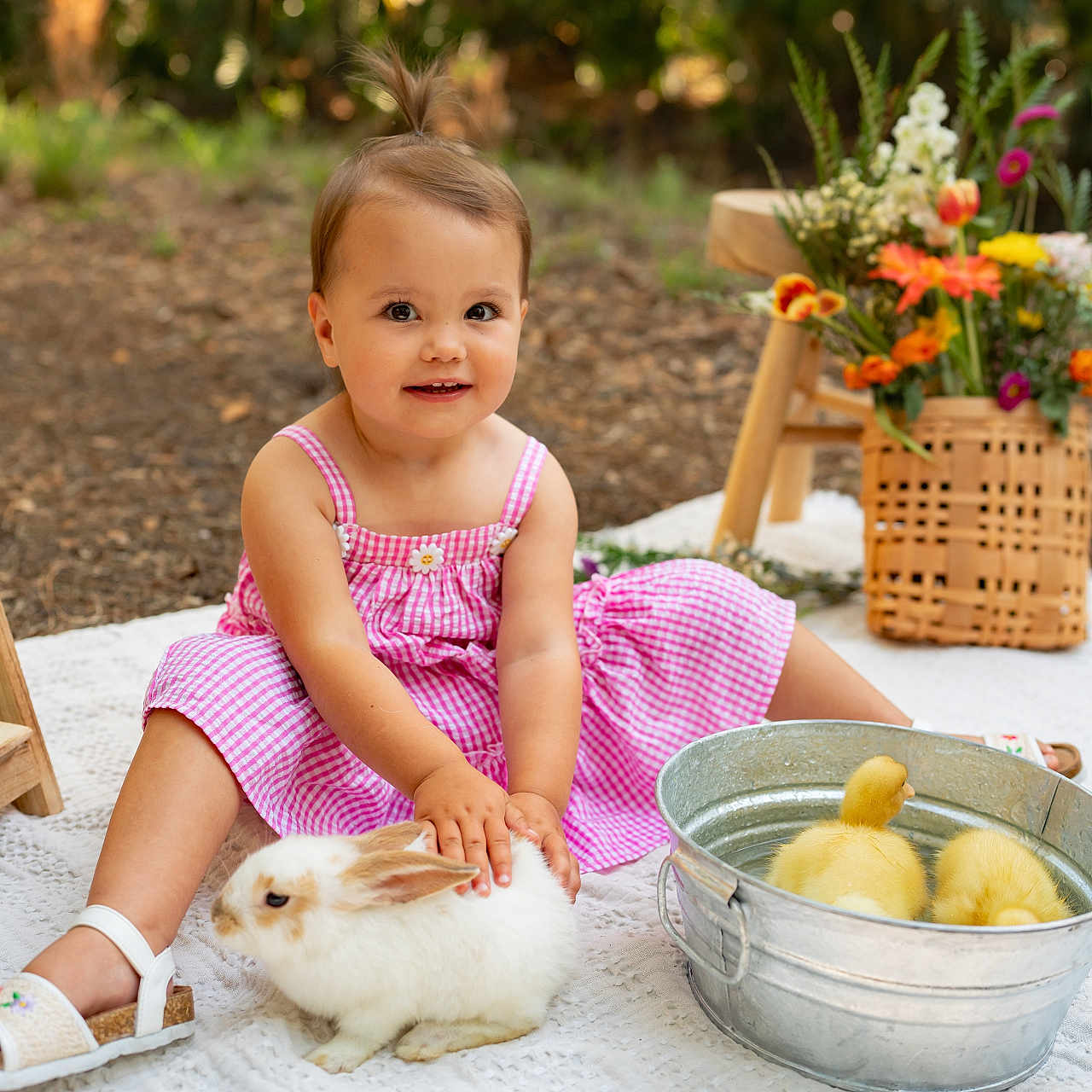 Saylor joined the competition — help win amazing prizes! animal, basket, blanket, child, cute, ducklings, flowers, garden, grass, metal_tub, nature, outdoor, pet, pink_dress, playful, rabbit, sitting, smiling, summer, toddler