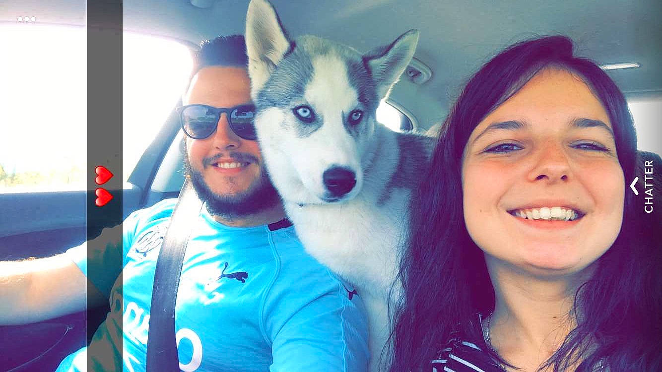 Phantom participe au concours pour gagner de l'argent avec cette photo : canidae, carnivore, companion_dog, cool, dog, dog_breed, eyebrow, fun, happy, head, jaw, joy, nose, person, photography, rare_breed_dog, selfie, siberian_husky, sled_dog, smile