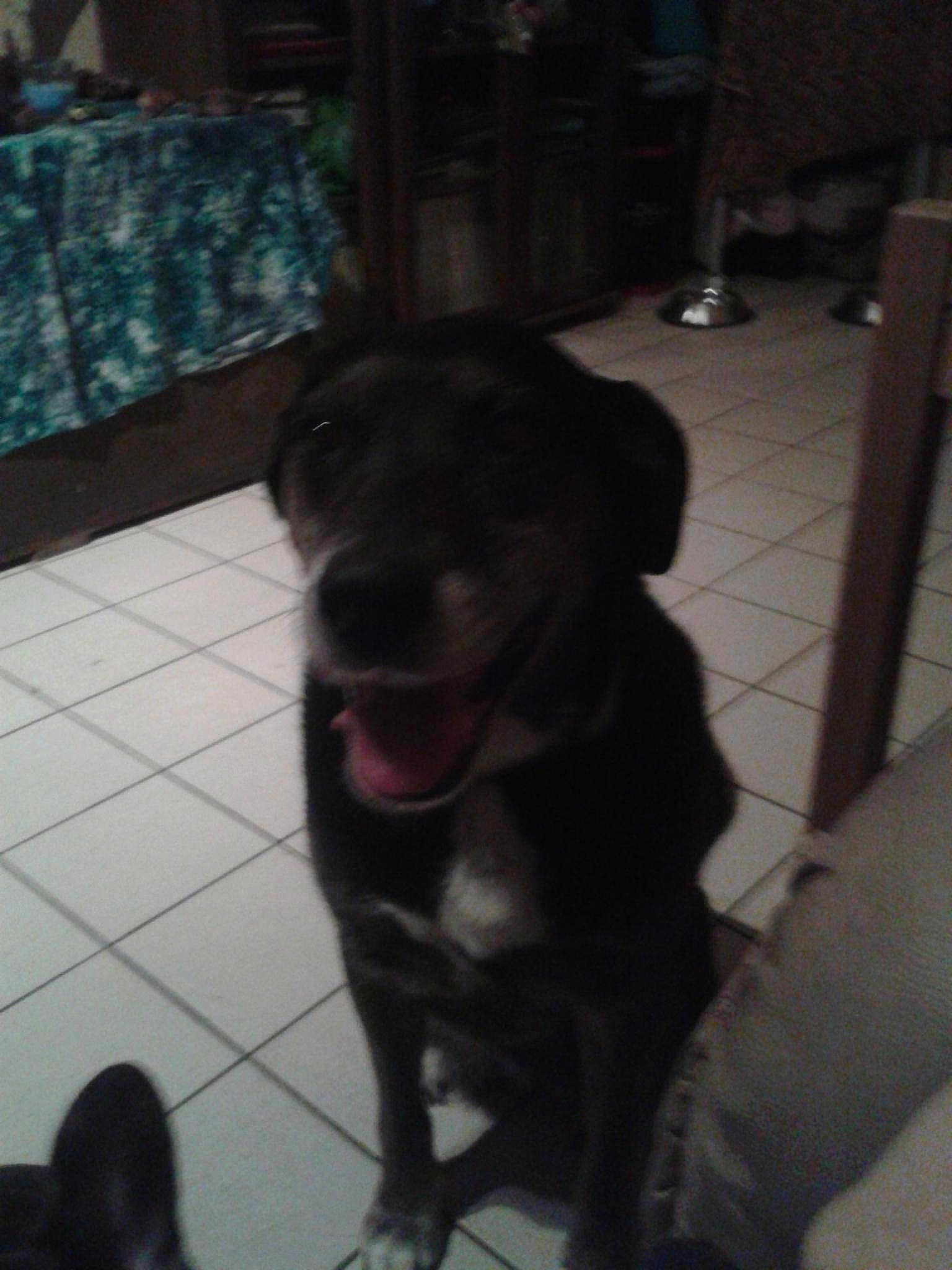 Juliette