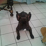 Eros participe au concours pour gagner de l'argent avec cette photo :