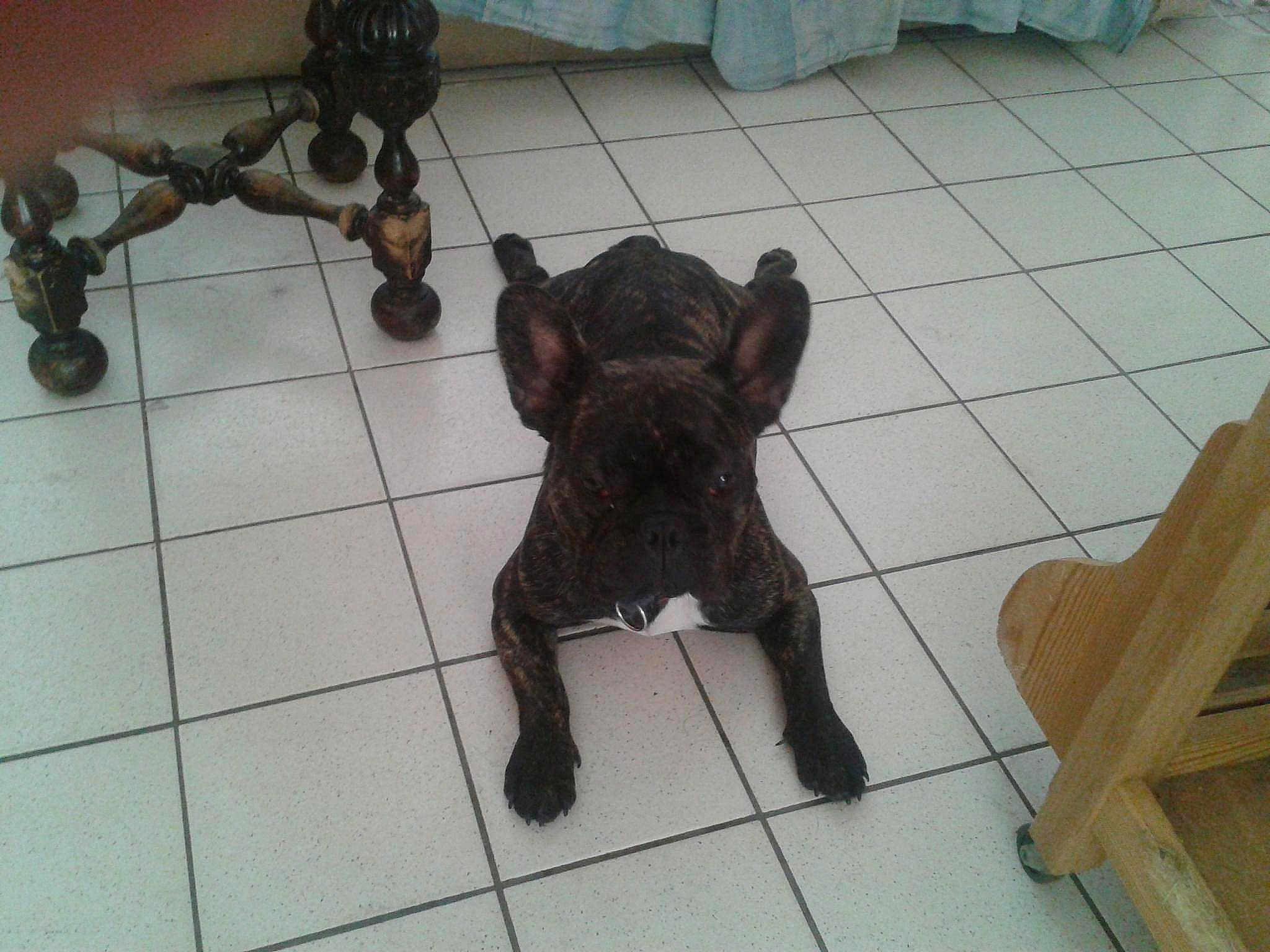 Eros