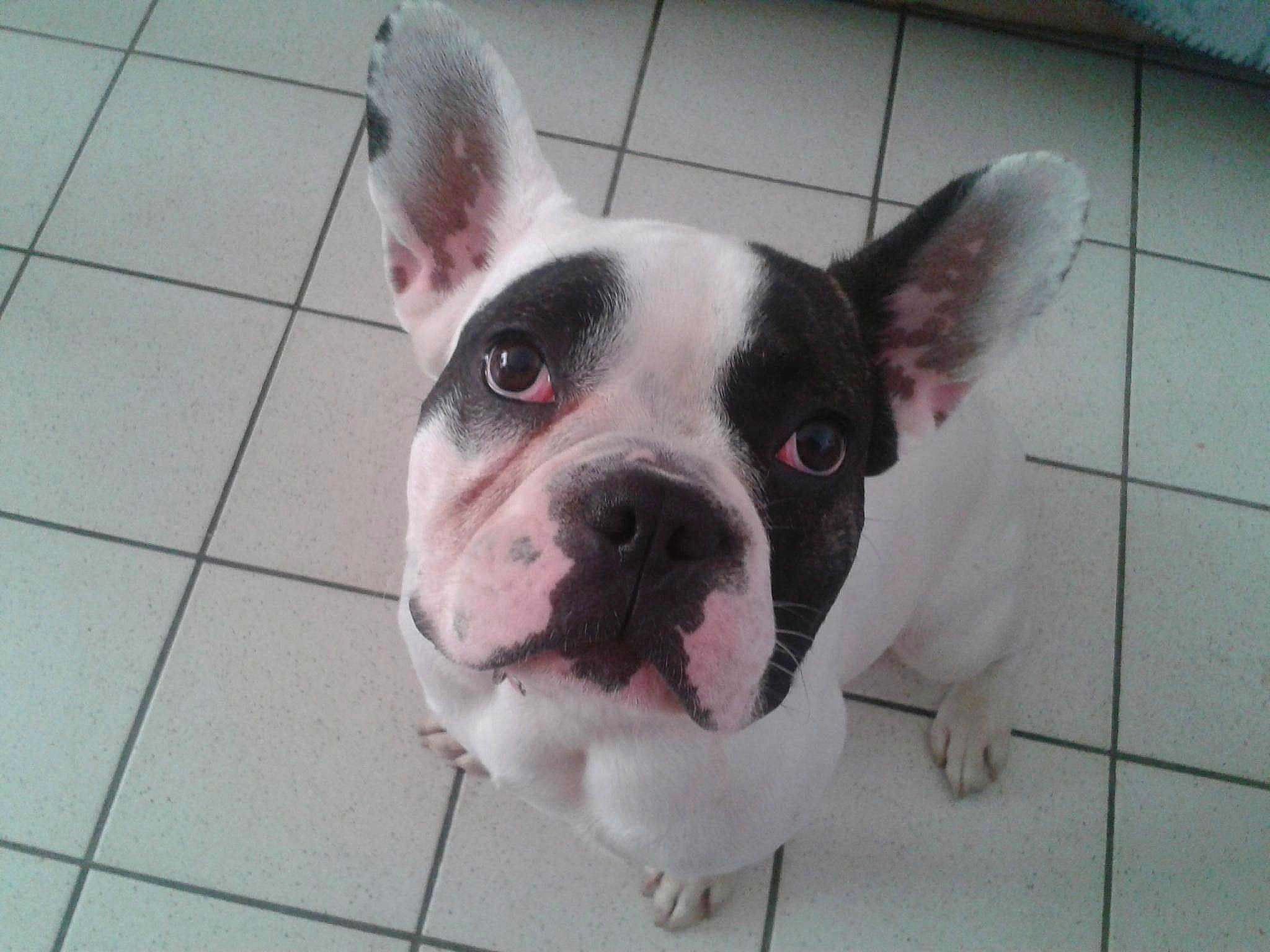 Ares