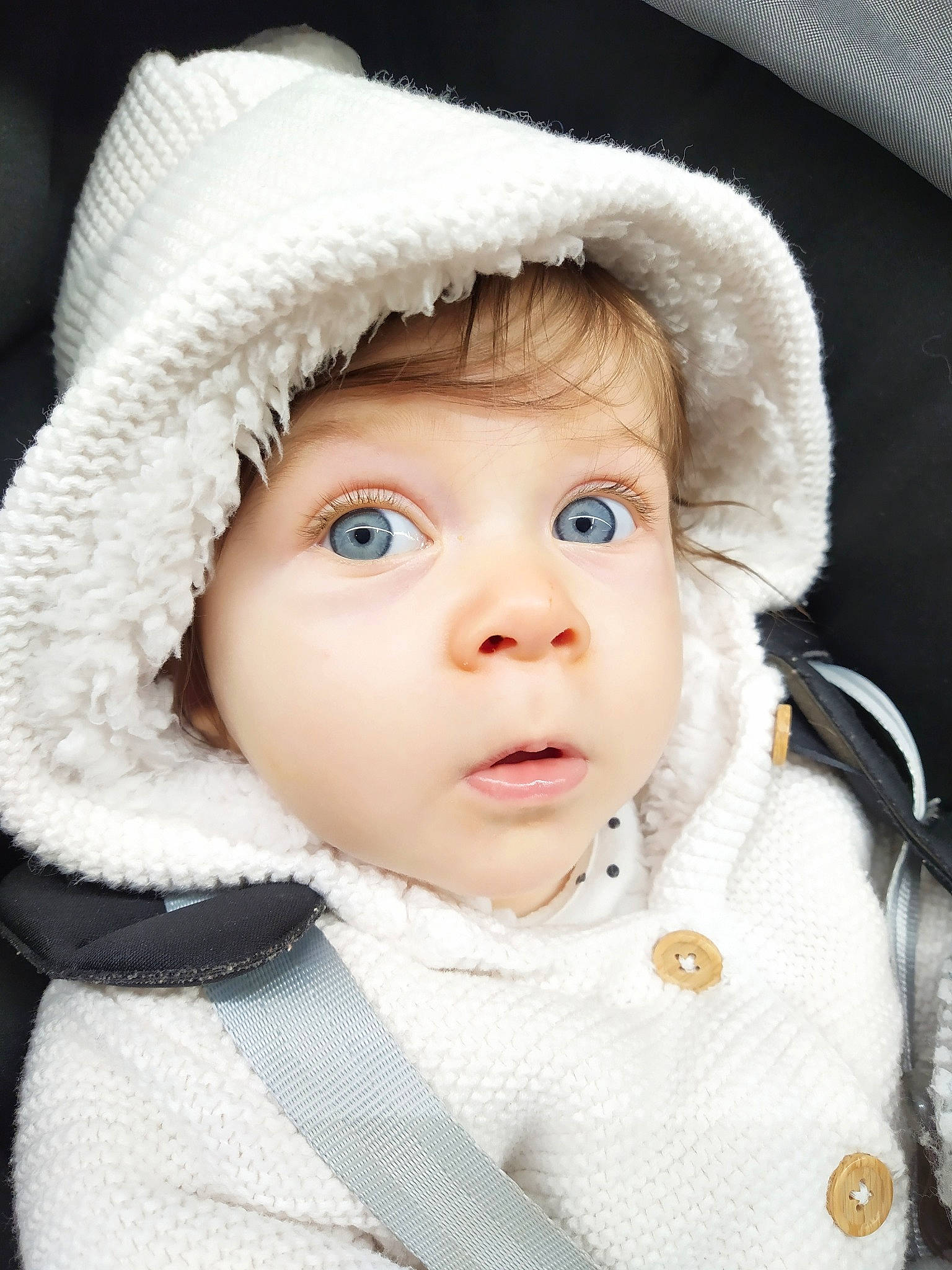 Taïna participe au concours pour gagner de l'argent avec cette photo : baby, cheek, child, child_model, eye, face, fur, fur_clothing, hat, headgear, headwear, lip, person, photography, portrait_photography, skin, smile, toddler, winter