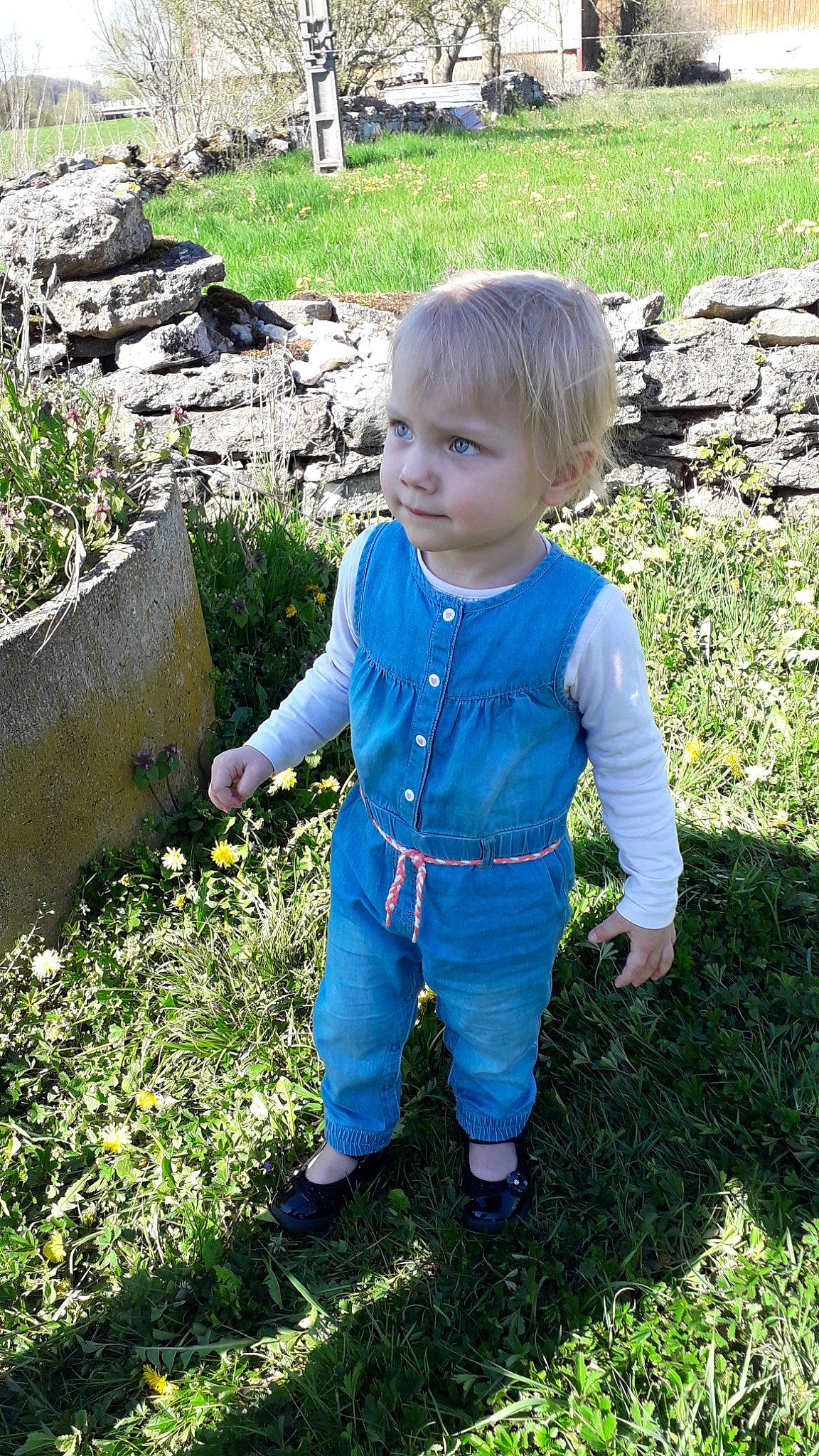 Iliana participe au concours pour gagner de l'argent avec cette photo : backyard, child, garden, grass, jeans, lawn, leaf, person, plant, play, smile, soil, summer, toddler, yard