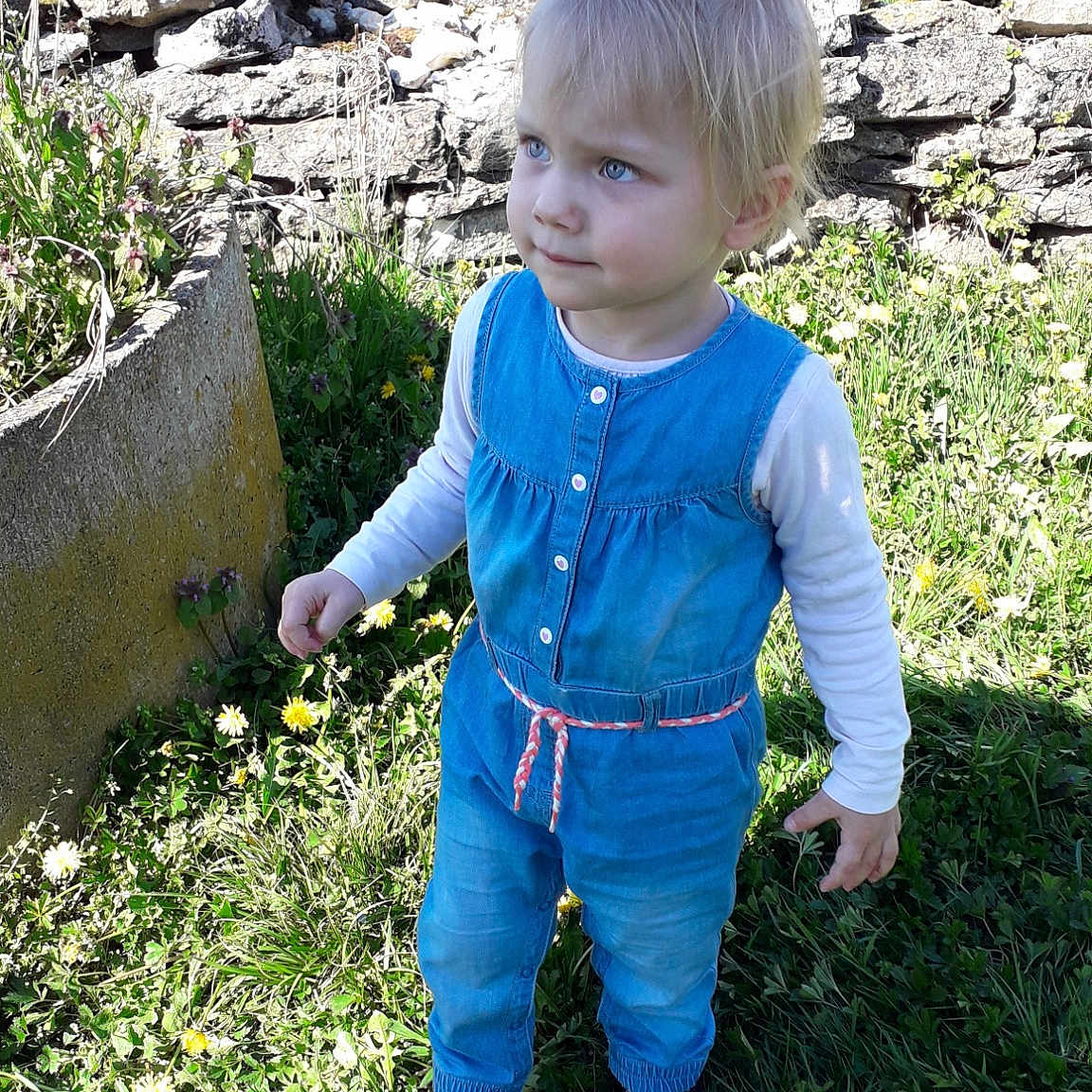 Iliana participe au concours pour gagner de l'argent avec cette photo : backyard, child, garden, grass, jeans, lawn, leaf, person, plant, play, smile, soil, summer, toddler, yard