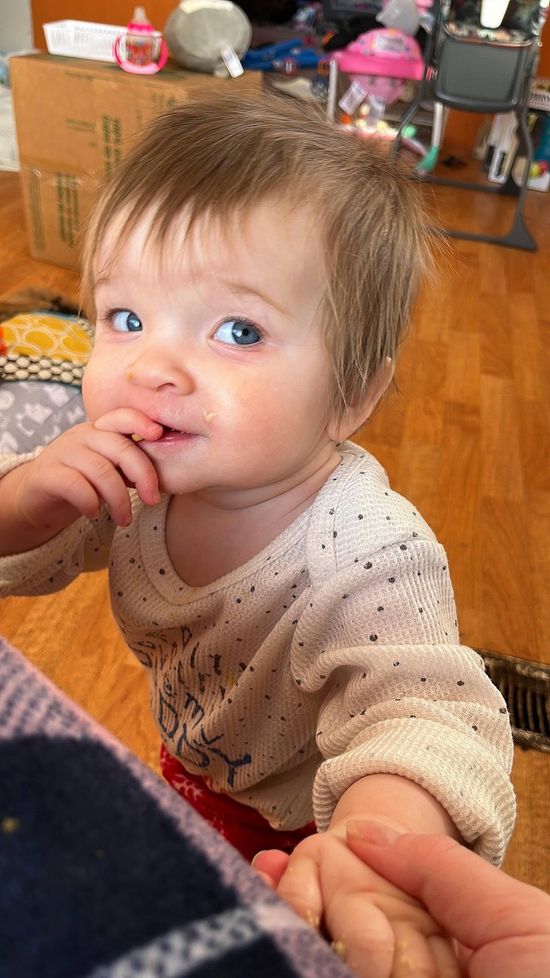 Claire joined the competition — help win amazing prizes! baby, baby_toddler_clothing, cheek, child, eyebrow, eyelash, finger, flooring, fun, hair, happy, head, iris, nose, person, sitting, skin, sleeve, standing, toddler