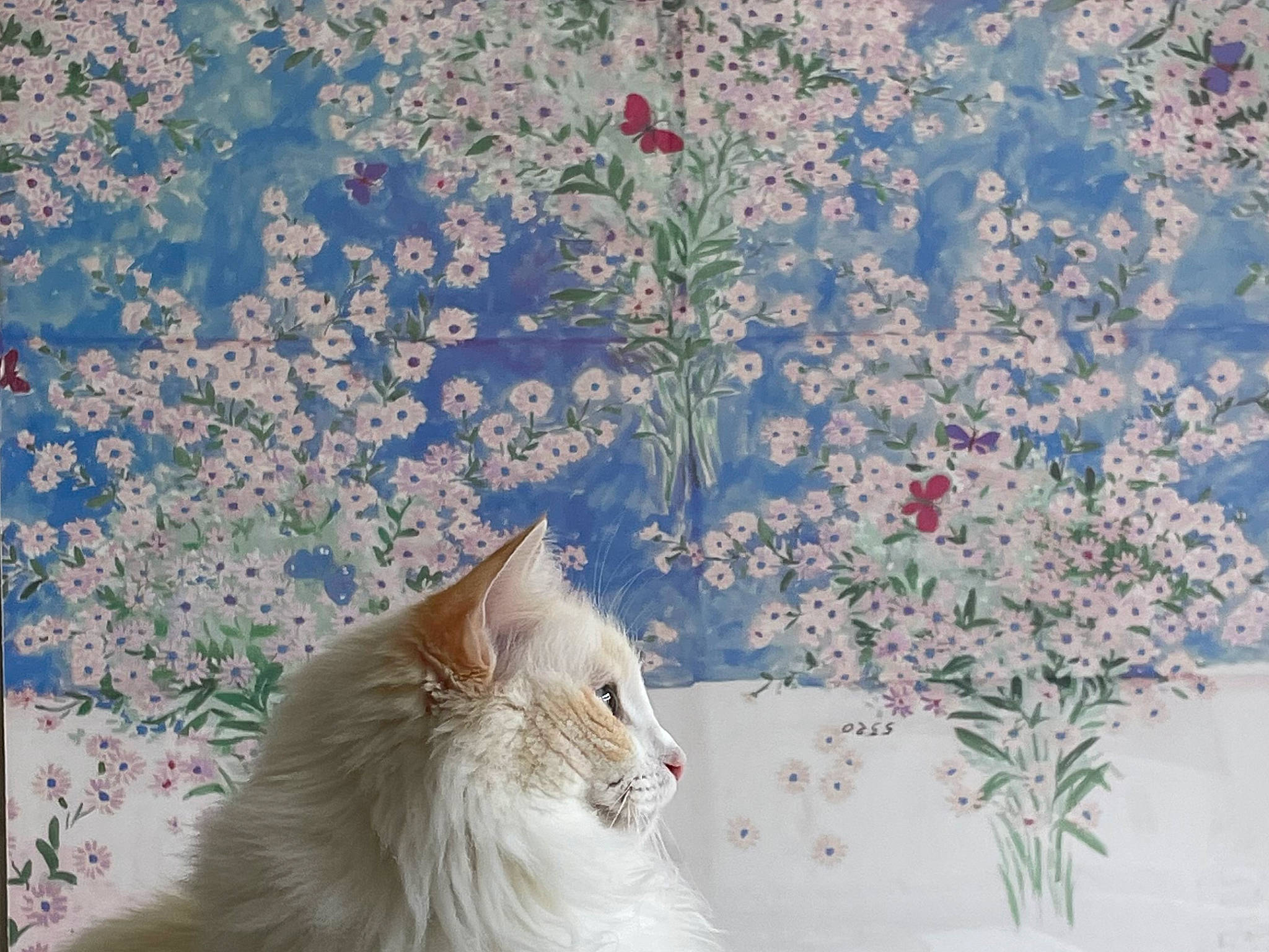 Dora is registered to the contest to win money with this photo: branch, carnivore, cat, fawn, felidae, flower, freezing, fur, grass, herbaceous_plant, plant, small_to_medium_sized_cats, snow, tail, textile, tree, twig, whiskers, winter, wood