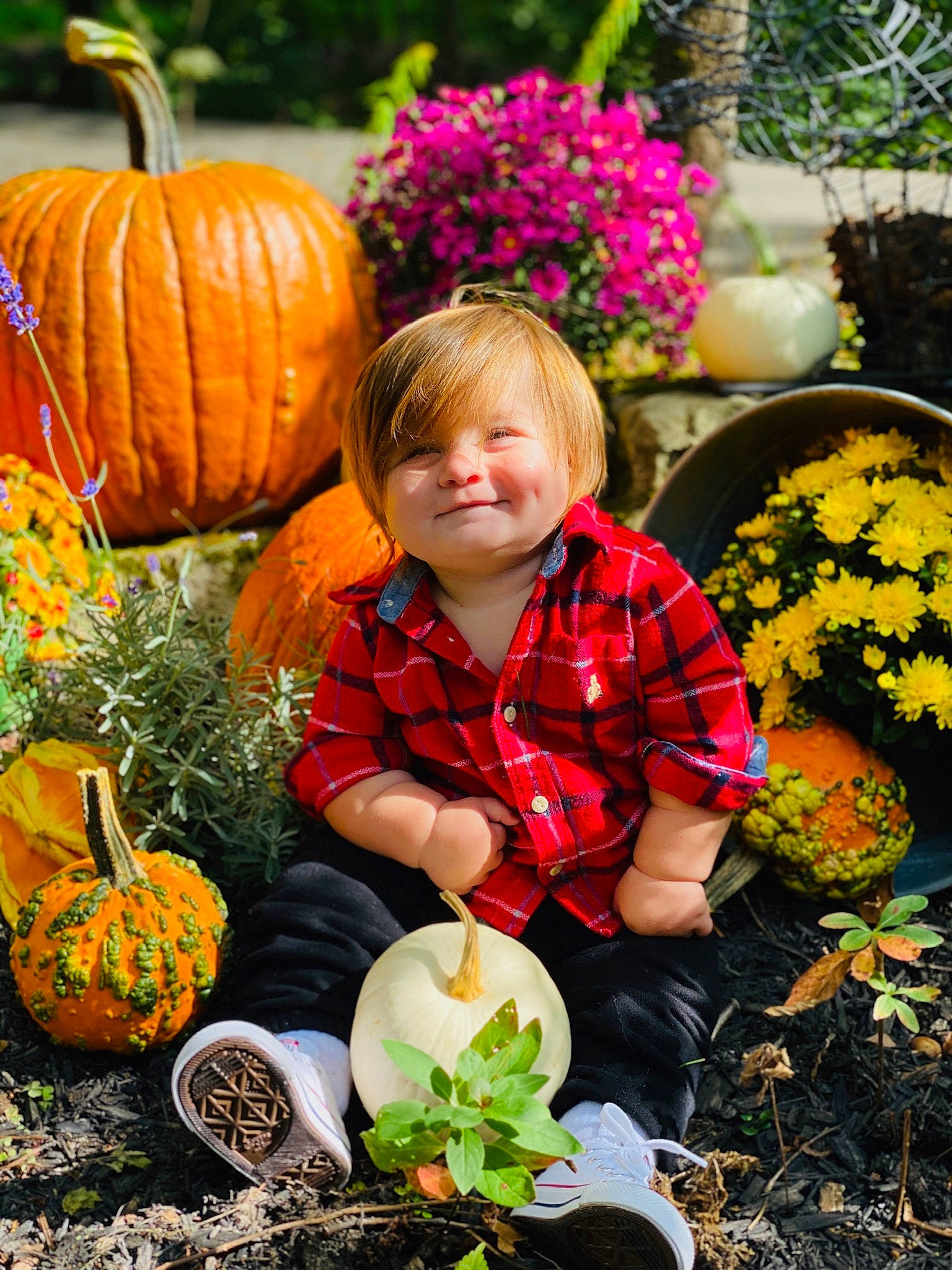Colten is registered to the contest to win money with this photo: _and_melon_family, _gourd, autumn, botany, calabaza, child, cucumber, cucurbita, flower, food, fruit, garden, gourd, joy, local_food, natural_foods, person, plant, produce, pumpkin