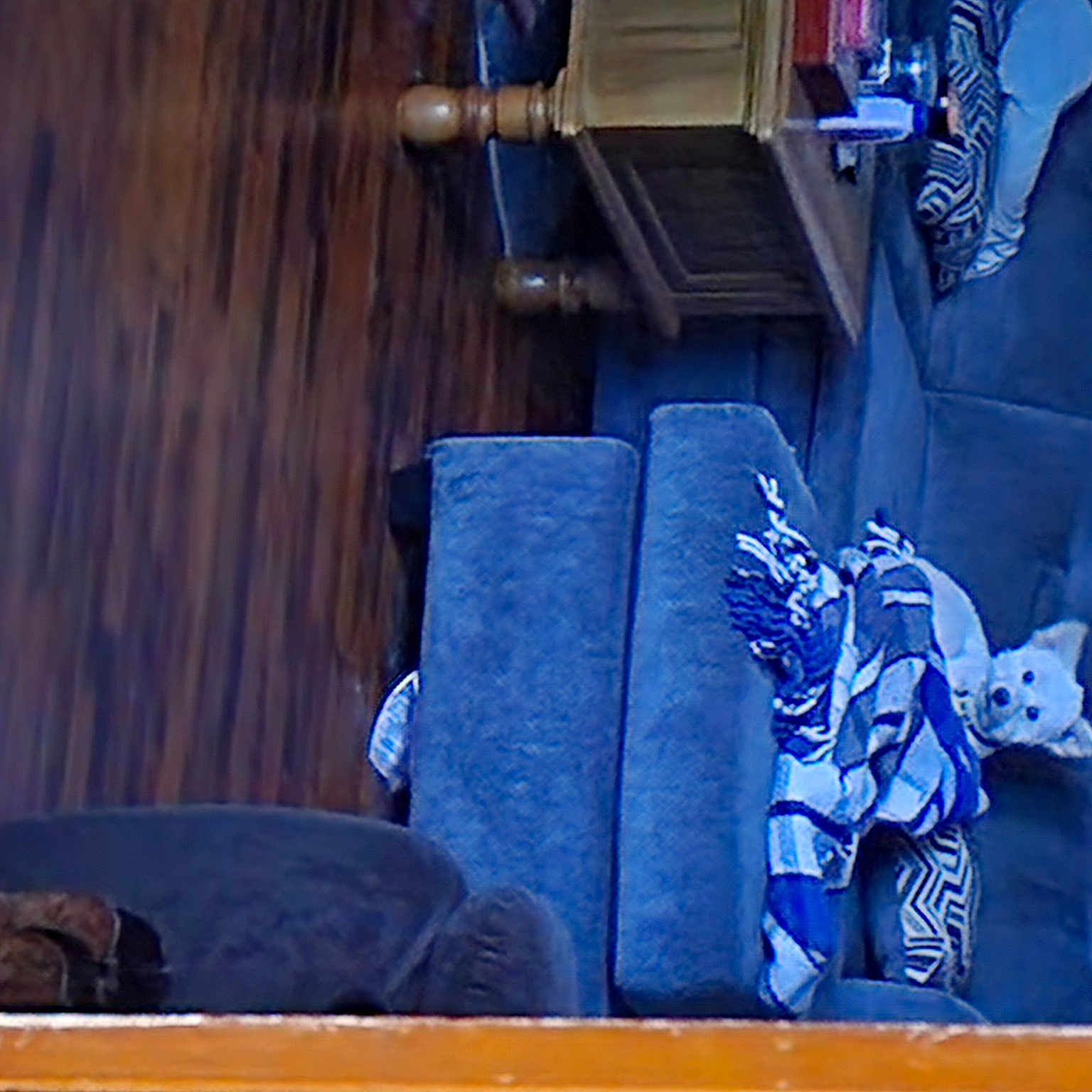 Ezra joined the competition — help win amazing prizes! art, blue, carmine, chair, electric_blue, fictional_character, flooring, gas, hardwood, hat, linens, machine, purple, room, sitting, still_life_photography, tints_and_shades, visual_arts, wood, wood_stain