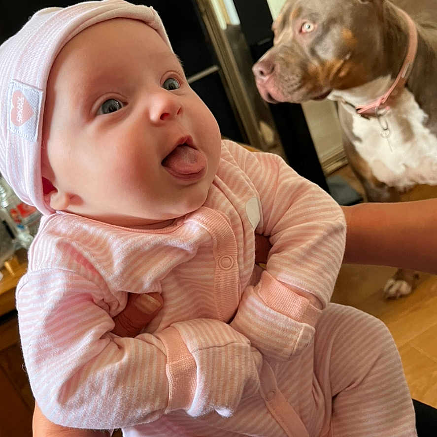 River-Mae is registered to the contest to win money with this photo: animal, baby, bracelet, cozy, curious, cute, dog, expression, face, hat, holding, indoor, infant, pajamas, person, pet, pink_clothing, tongue_out, wooden_floor, young_child