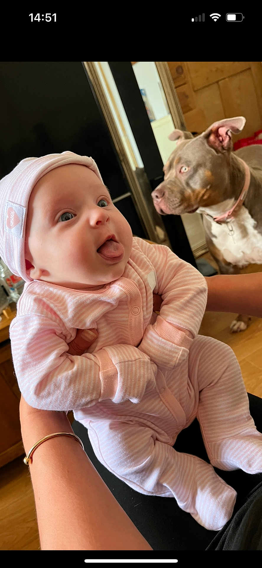 River-Mae is registered to the contest to win money with this photo: baby, infant, pink_clothing, hat, tongue_out, cute, dog, pet, indoor, person, holding, wooden_floor, bracelet, curious, animal, face, expression, pajamas, young_child, cozy