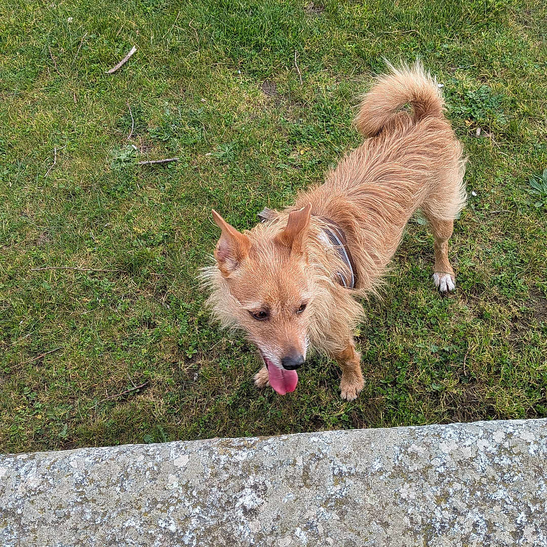 Roxy