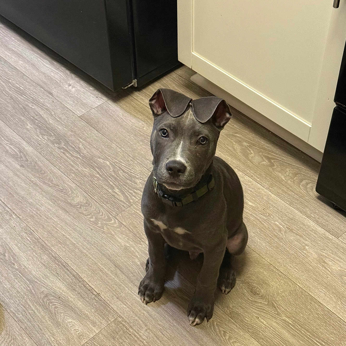 Marlo