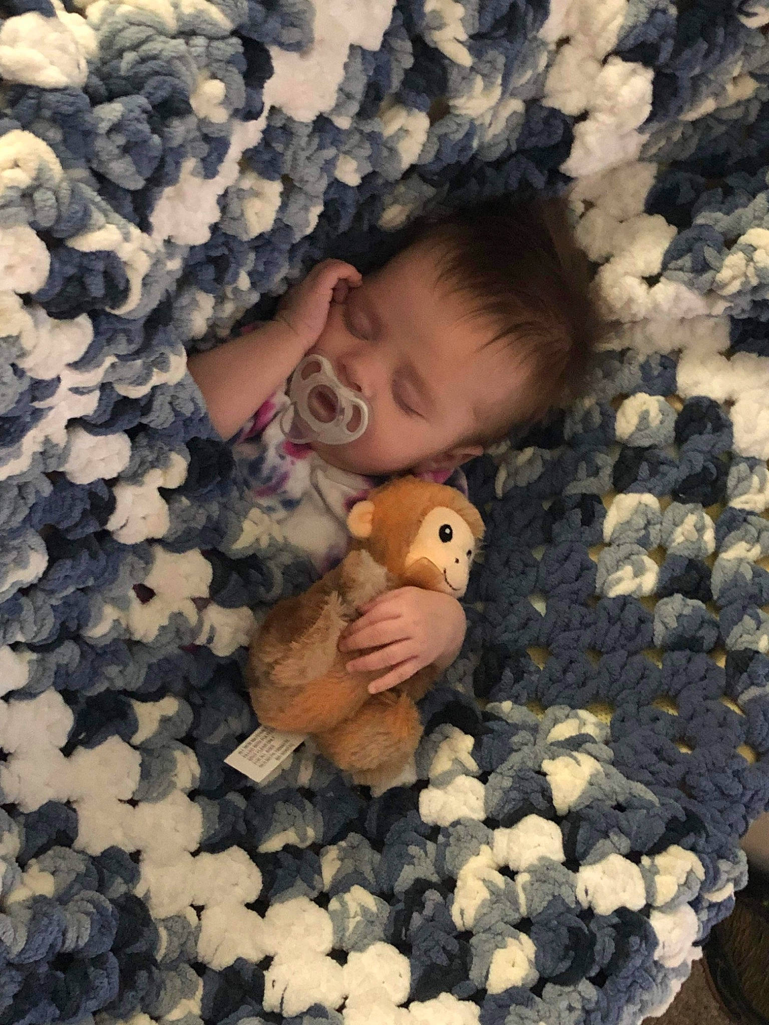 Adelaide joined the competition — help win amazing prizes! baby, child, eye, flooring, grass, happy, head, landscape, leaf, mammal, organism, pattern, people, people_in_nature, person, textile, toddler, toy, vertebrate, wall