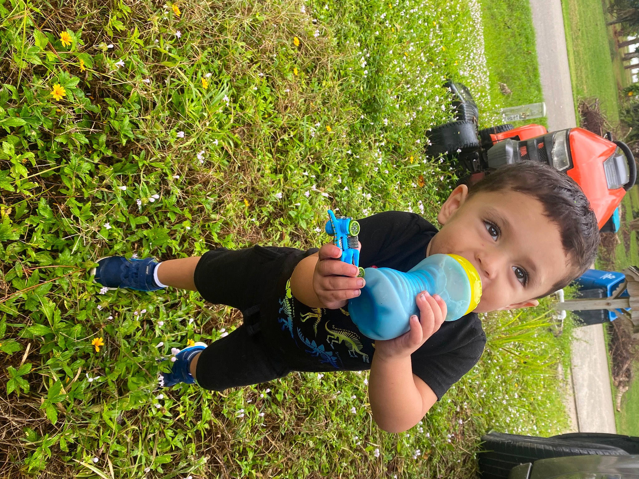 Jr joined the competition — help win amazing prizes! bicycle_frame, bicycle_handlebar, bicycle_helmet, bicycles_equipment_and_supplies, electric_blue, fun, grass, happy, leisure, people_in_nature, person, personal_protective_equipment, plant, recreation, shorts, sports_equipment, swing, tire, toddler, tree