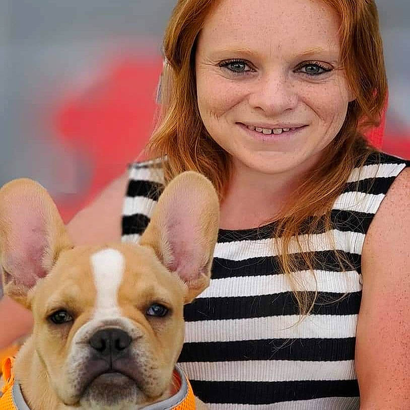 Rascal is registered to the contest to win money with this photo: blond, brown_hair, canidae, carnivore, companion_dog, dog, dog_breed, facial_expression, fawn, french_bulldog, iris, mammal, organ, skin, sleeveless_shirt, snout, tooth, toy_dog, vertebrate, working_animal