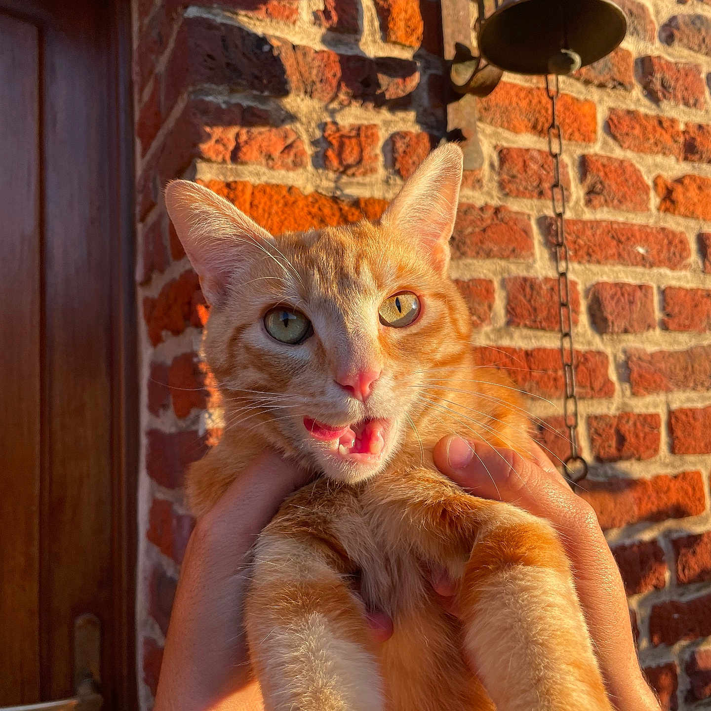 Sergio