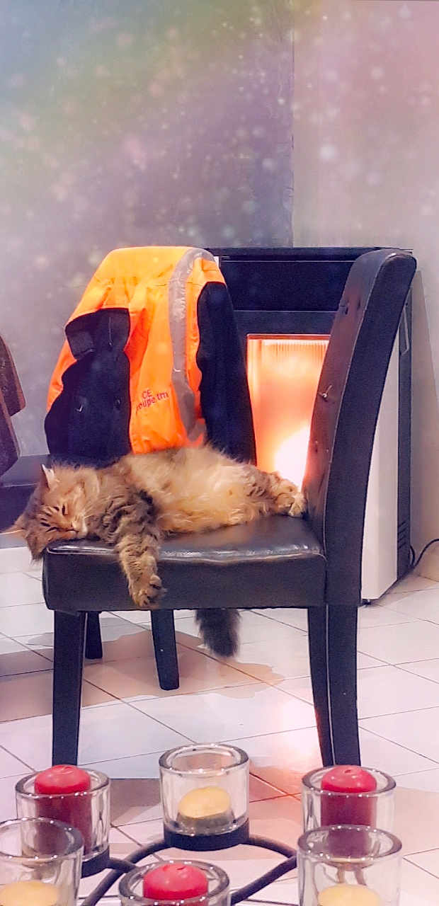 Gribouille