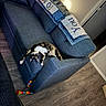 cat, calico_cat, stretching, couch, blue_couch, toy, colorful_toy, living_room, flooring, wood_floor, blanket, decor, wall, texture, playful, pet, indoor, furniture, cozy, relaxation