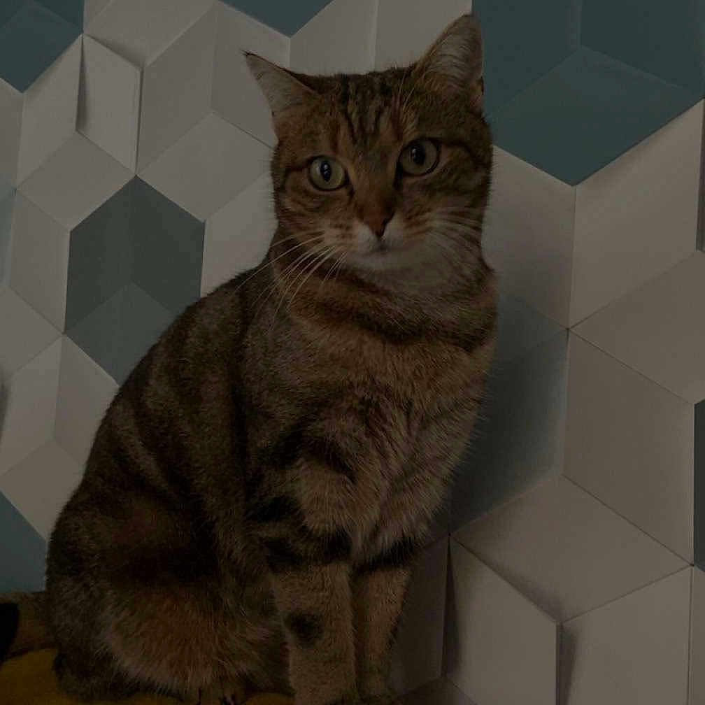 Prince