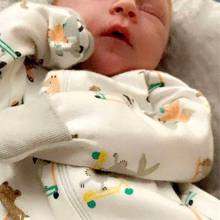 Jackson joined the competition — help win amazing prizes! animal, baby, bear, bed, bee, bird, blanket, clothing, face, furniture, glove, head, honeybee, insect, newborn, person, photography, portrait, quilt, sleeping