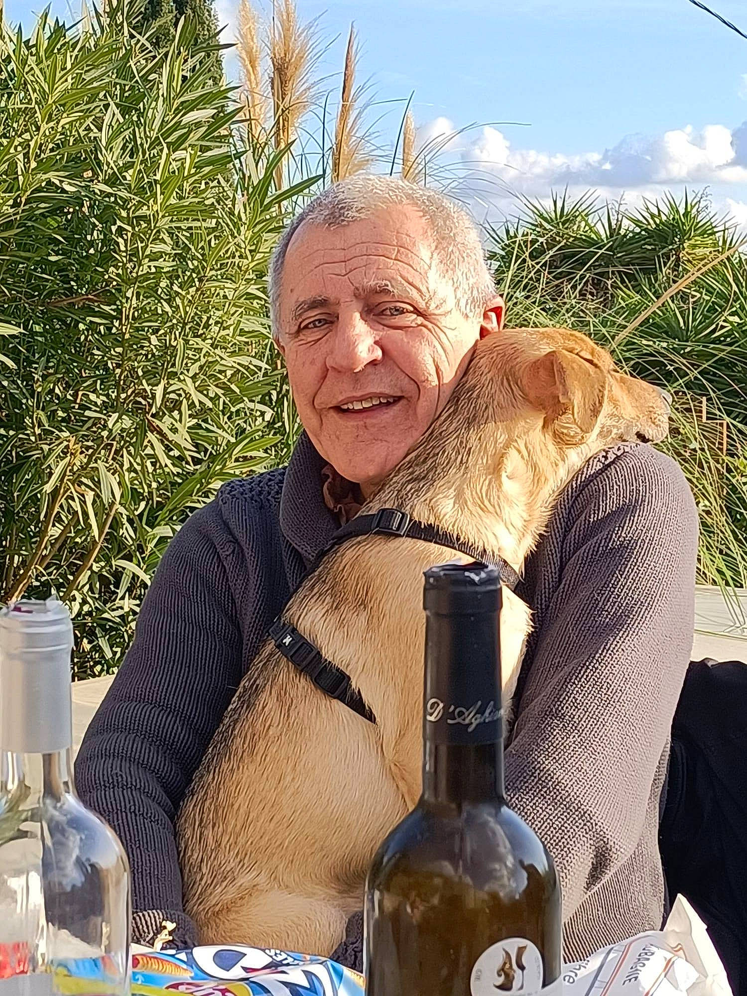 Toby a rejoint le concours — aidez-le/la à gagner de superbes lots ! alcohol, alcoholic_beverage, bottle, cloud, distilled_beverage, drink, drinkware, event, glass_bottle, grass, happy, people_in_nature, plant, recreation, sitting, sky, smile, wine, wine_bottle, wrinkle