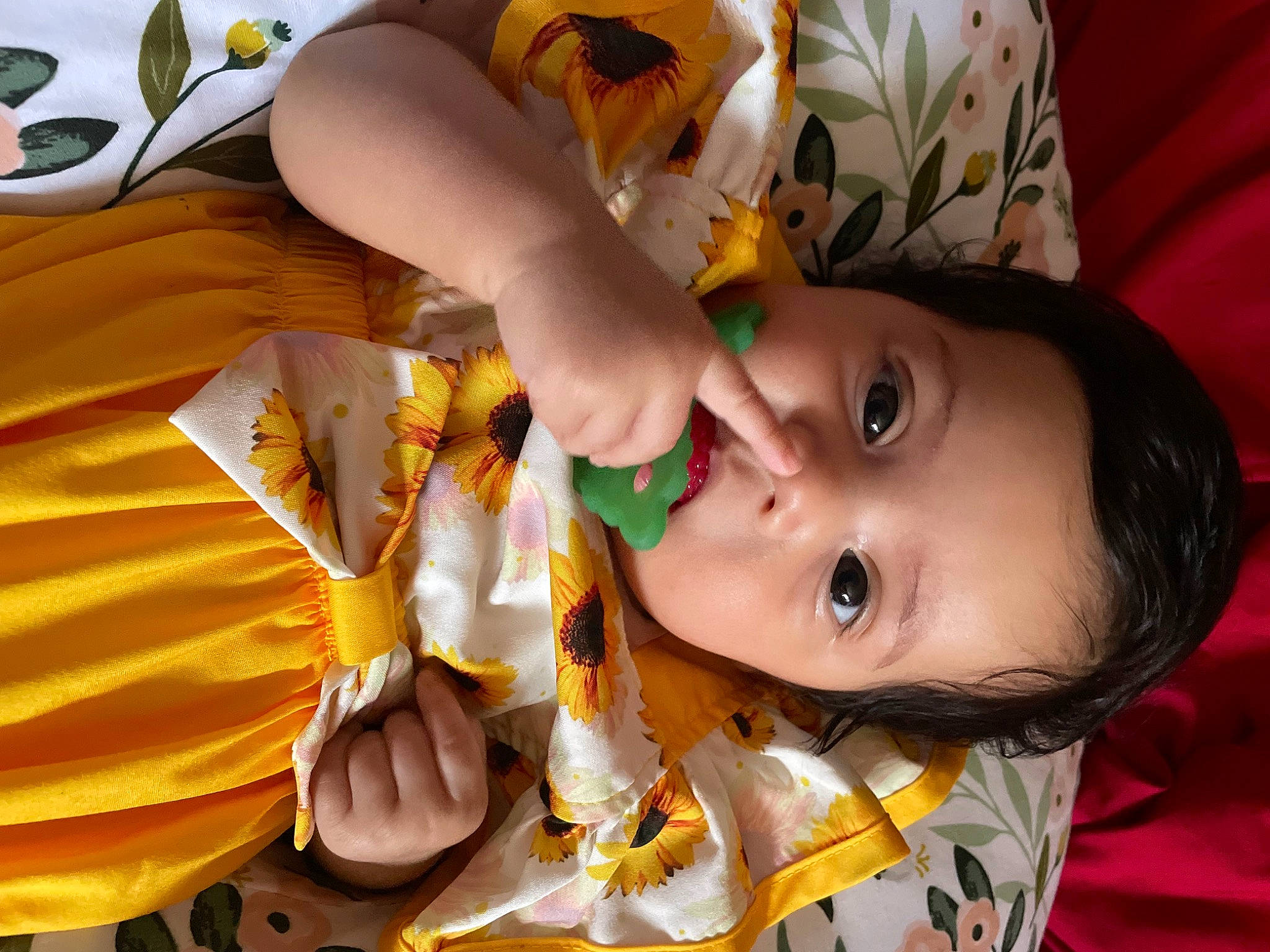 Alexis is registered to the contest to win money with this photo: baby, beauty, cheek, child, eye, eyelash, fun, hairstyle, happy, head, headgear, human_body, iris, mouth, nose, orange, person, plant, skin, toddler