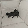 animal, black_cat, cat, collar, couch, domestic_animal, feline, fur, home, indoor, leather_couch, living_room, looking_away, minimalist, pet, relaxed, resting, seated, tail, white_couch
