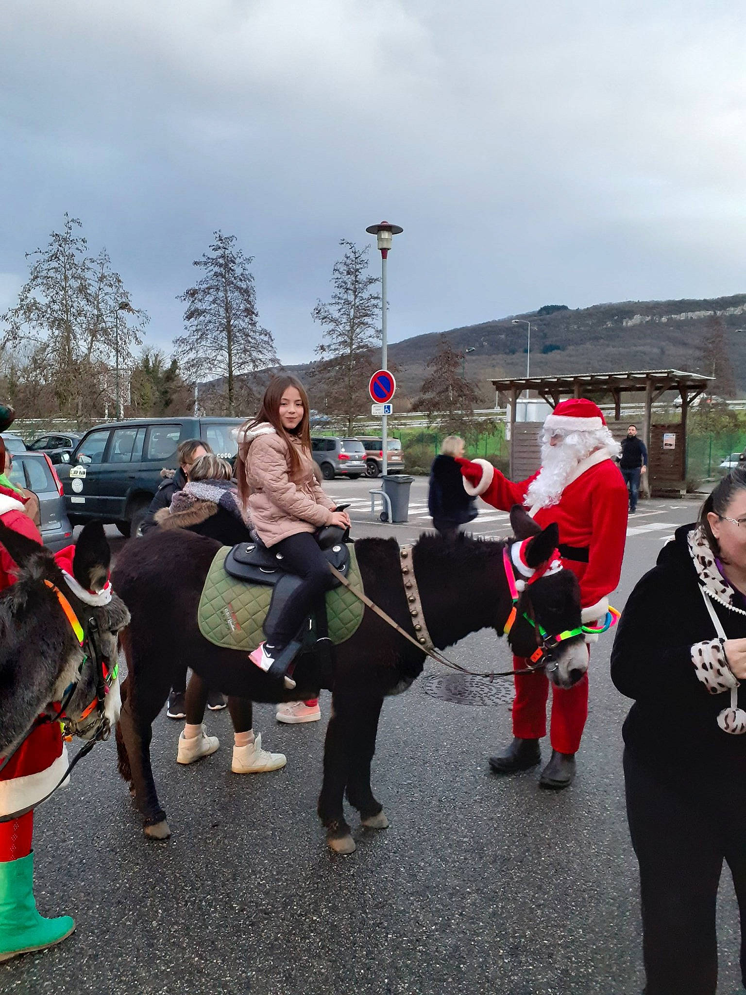 Shana Merliot a rejoint le concours — aidez-le/la à gagner de superbes lots ! carnival, costume, crowd, event, festival, horse, marching, parade, person, plant, recreation, team, tourism, tradition, winter