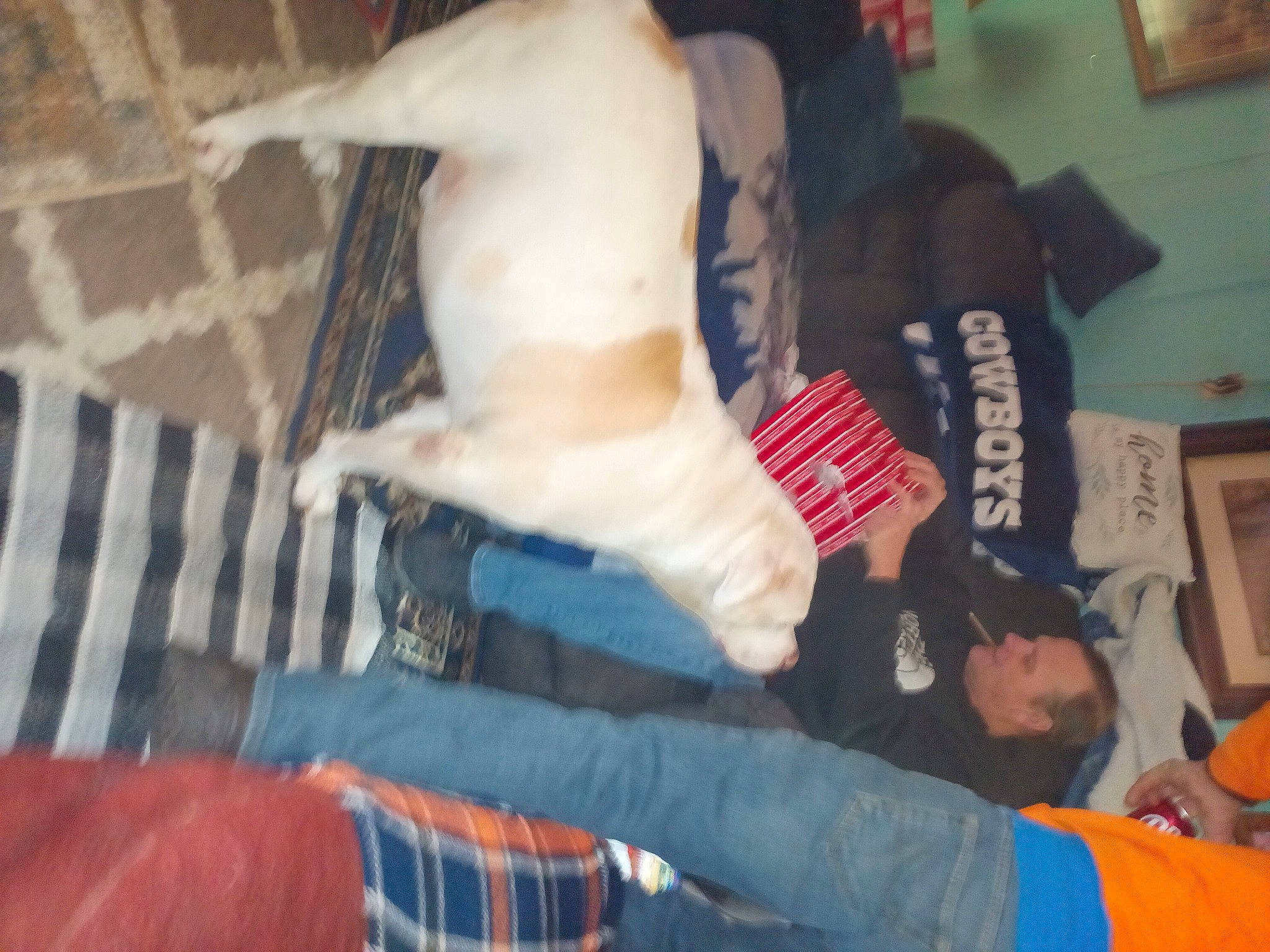 Sparkplug joined the competition — help win amazing prizes! cap, carmine, companion_dog, elbow, event, fun, fur, glove, jeans, knee, pattern, picture_frame, room, sitting, t_shirt, tartan, textile, thigh, trunk, wrist