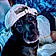 Doby