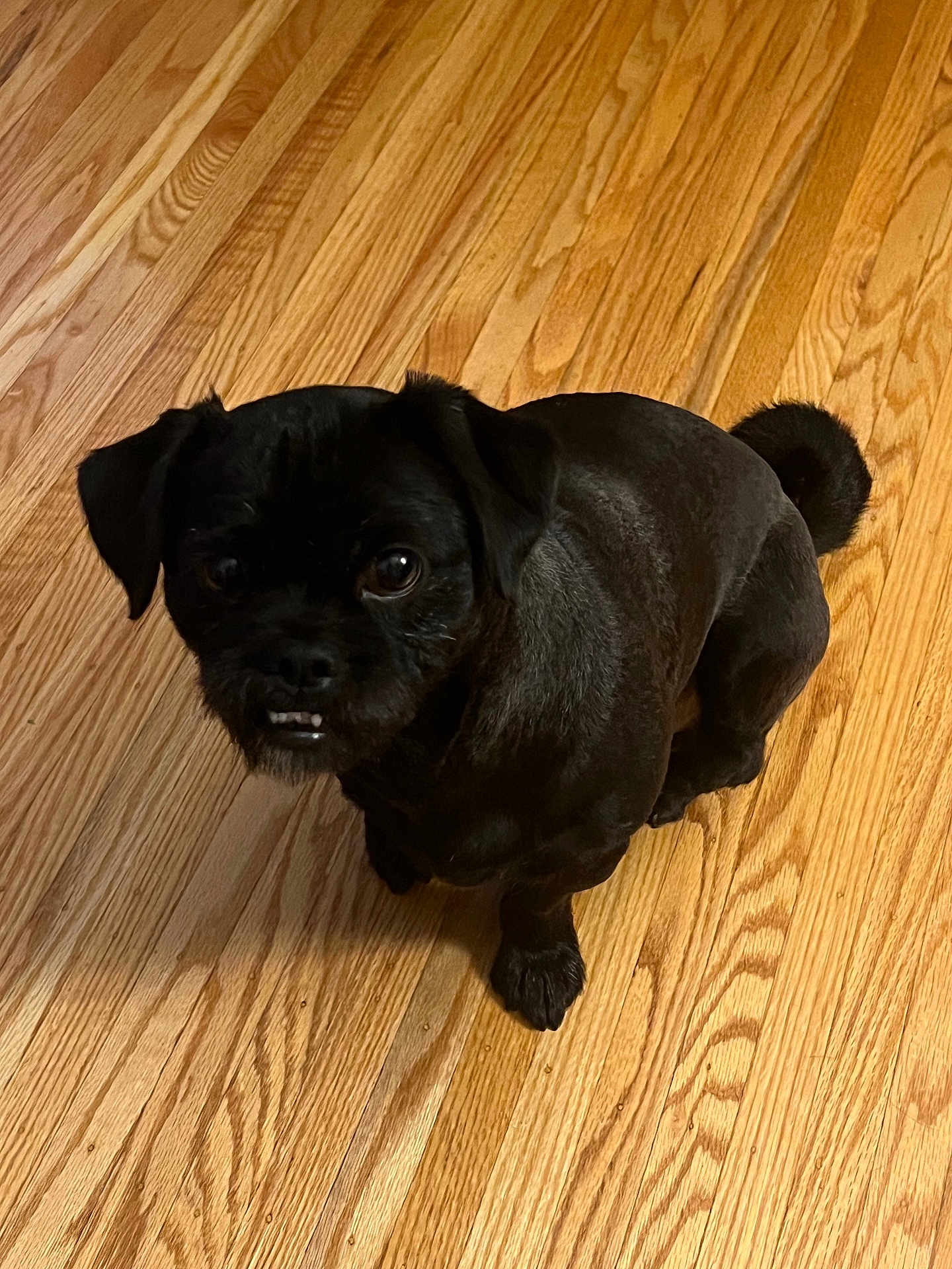 Rico